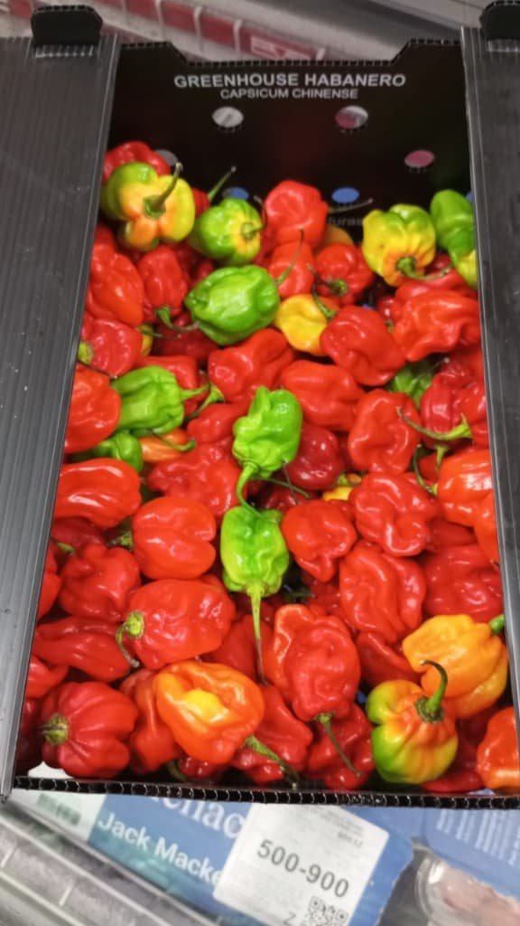 Groceries from the Herivio global catalogue